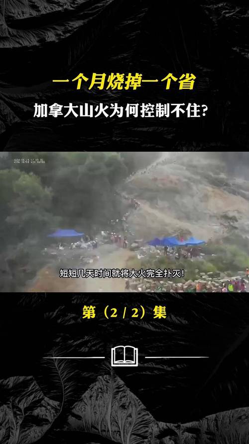 新闻中心 第9页